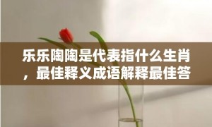 乐乐陶陶是代表指什么生肖，最佳释义成语解释最佳答