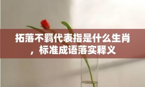 拓落不羁代表指是什么生肖，标准成语落实释义