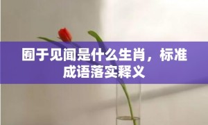 囿于见闻是什么生肖，标准成语落实释义