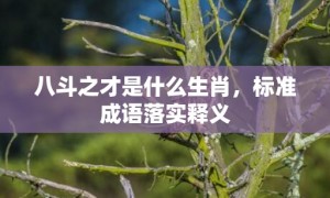 八斗之才是什么生肖，标准成语落实释义