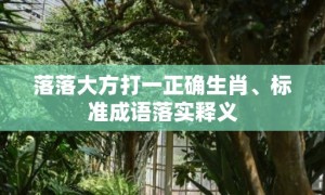 落落大方打一正确生肖、标准成语落实释义