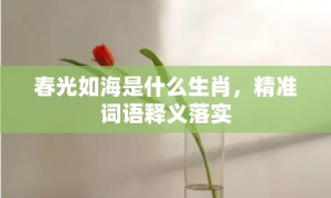 春光如海是什么生肖，精准词语释义落实