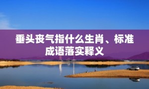 垂头丧气指什么生肖、标准成语落实释义