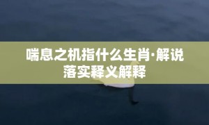 喘息之机指什么生肖·解说落实释义解释