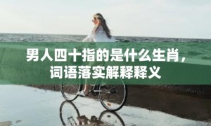 男人四十指的是什么生肖，词语落实解释释义