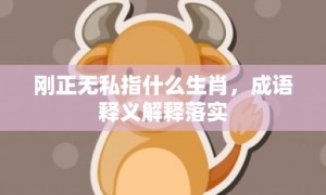 刚正无私指什么生肖，成语释义解释落实