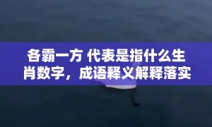 各霸一方 代表是指什么生肖数字，成语释义解释落实