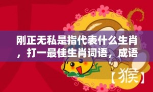 刚正无私是指代表什么生肖，打一最佳生肖词语，成语释义解释落实