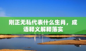 刚正无私代表什么生肖，成语释义解释落实