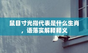 鼠目寸光指代表是什么生肖，语落实解释释义