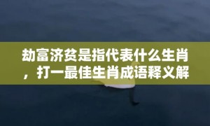 劫富济贫是指代表什么生肖，打一最佳生肖成语释义解释落实