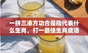 一拼三凑方功合是指代表什么生肖，打一最佳生肖成语释义解释落实