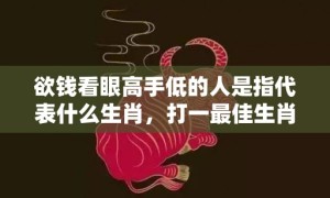 欲钱看眼高手低的人是指代表什么生肖，打一最佳生肖成语释义解释落实