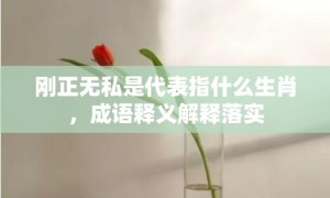 刚正无私是代表指什么生肖，成语释义解释落实