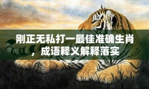 刚正无私打一最佳准确生肖，成语释义解释落实