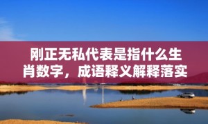 刚正无私代表是指什么生肖数字，成语释义解释落实