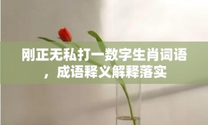 刚正无私打一数字生肖词语，成语释义解释落实