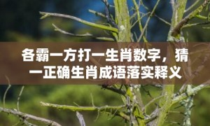 各霸一方打一生肖数字，猜一正确生肖成语落实释义