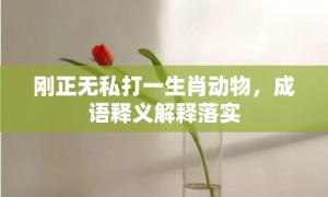 刚正无私打一生肖动物，成语释义解释落实