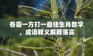 各霸一方打一最佳生肖数字，成语释义解释落实