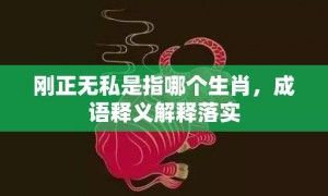 刚正无私是指哪个生肖，成语释义解释落实