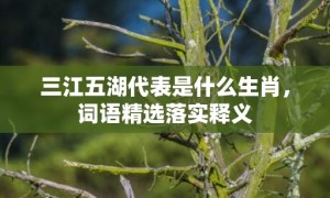 三江五湖代表是什么生肖，词语精选落实释义