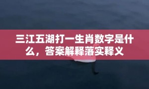 三江五湖打一生肖数字是什么，答案解释落实释义