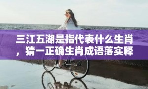 三江五湖是指代表什么生肖，猜一正确生肖成语落实释义