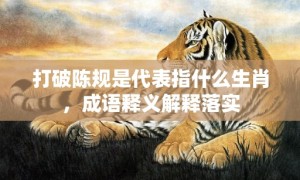 打破陈规是代表指什么生肖，成语释义解释落实