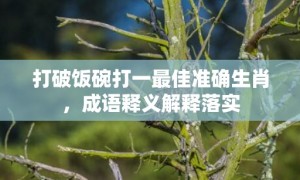 打破饭碗打一最佳准确生肖，成语释义解释落实