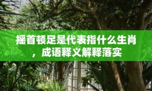 摇首顿足是代表指什么生肖，成语释义解释落实