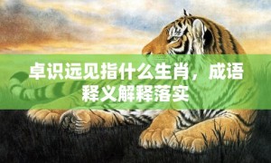 卓识远见指什么生肖，成语释义解释落实