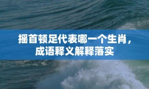 摇首顿足代表哪一个生肖，成语释义解释落实