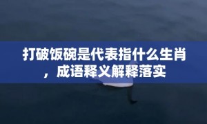 打破饭碗是代表指什么生肖，成语释义解释落实