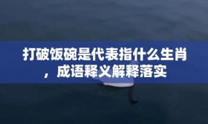 打破饭碗是代表指什么生肖，成语释义解释落实