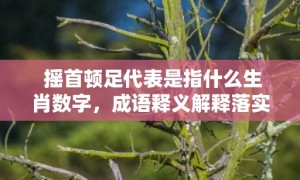 摇首顿足代表是指什么生肖数字，成语释义解释落实