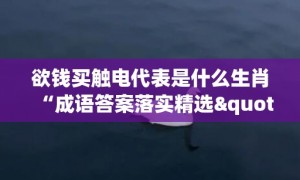 欲钱买触电代表是什么生肖“成语答案落实精选"