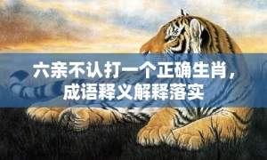 六亲不认打一个正确生肖，成语释义解释落实