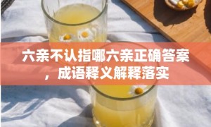 六亲不认指哪六亲正确答案，成语释义解释落实