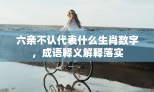 六亲不认代表什么生肖数字，成语释义解释落实