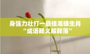 身强力壮打一最佳准确生肖“成语释义解释落”