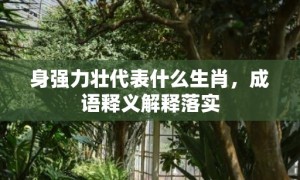 身强力壮代表什么生肖，成语释义解释落实