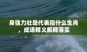 身强力壮是代表指什么生肖，成语释义解释落实