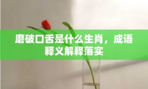 磨破口舌是什么生肖，成语释义解释落实