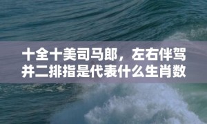 十全十美司马郎，左右伴驾并二排指是代表什么生肖数字，打一最佳生肖成语释义解释落实