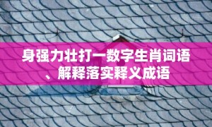身强力壮打一数字生肖词语、解释落实释义成语