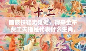 踏破铁鞋无觅处，得来全不费工夫指是代表什么生肖，成语释义解释落实