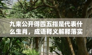 九来公开得四五指是代表什么生肖，成语释义解释落实