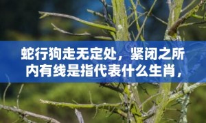 蛇行狗走无定处，紧闭之所内有线是指代表什么生肖，成语释义解释落实