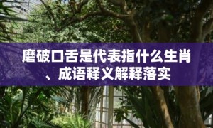 磨破口舌是代表指什么生肖、成语释义解释落实